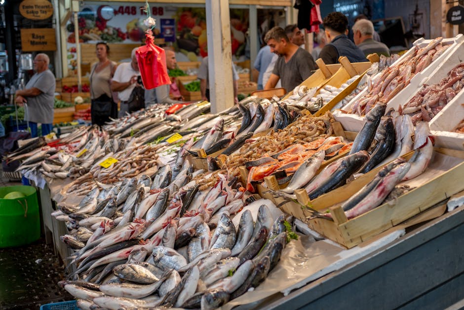 Viskraam op markt met veel vis en verkopers in Kotor