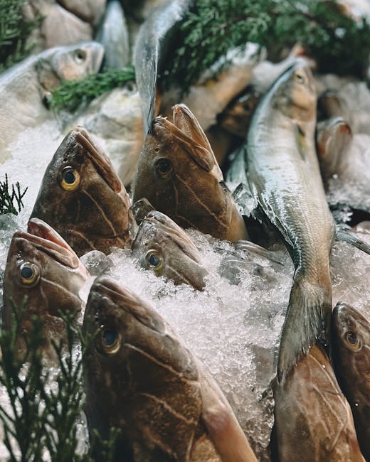 Close-up of fresh fish on ice at Durres fish market