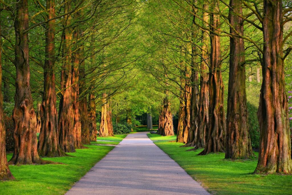 Grand Park walkway and trees by the artificial lake