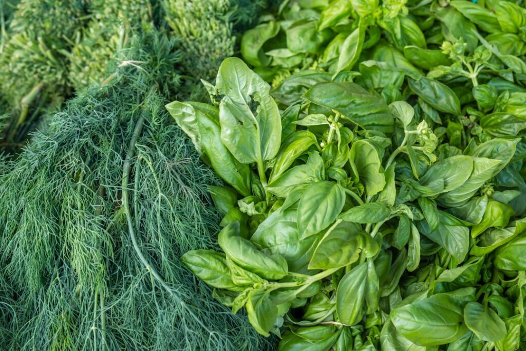 Bunches of fresh basil and dill at a Tirana market stall