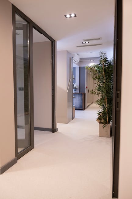 Bright clinic corridor with glass doors and potted plants in Tirana