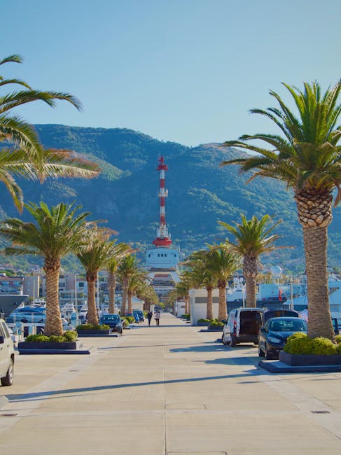 Promenade bord de mer bordée de palmiers et port au Monténégro