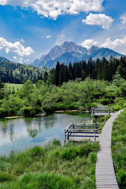 Biogradska Gora National Park