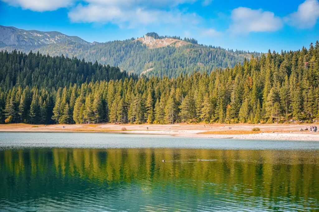 Schwarzer See (Crno Jezero) mit Nadelwald und Bergen in Montenegro