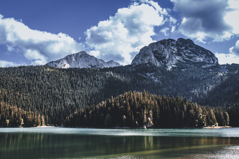 Lago alpino calmo con foresta di pini e montagne, Durmitor in Montenegro