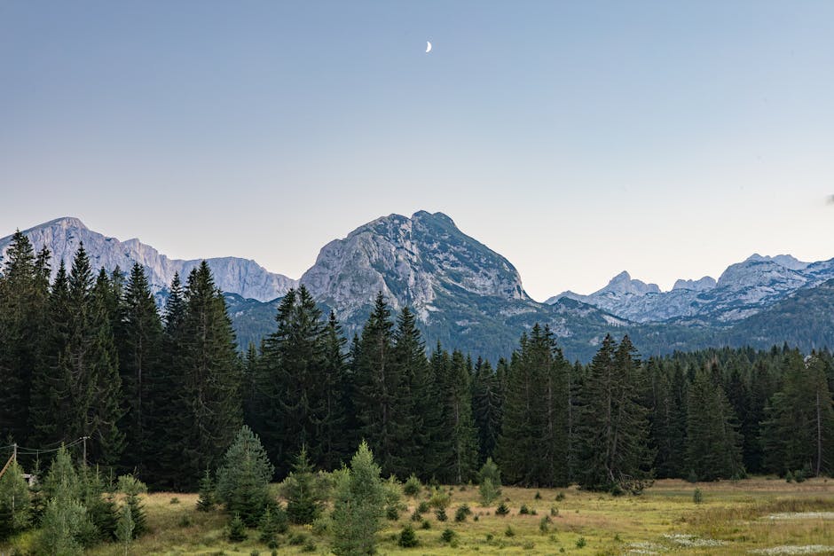 Parc national du Durmitor, Monténégro, montagnes et forêt sous croissant de lune.