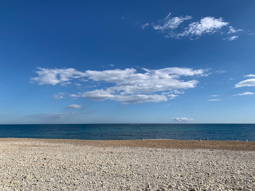 Jaz Beach during Sea Dance