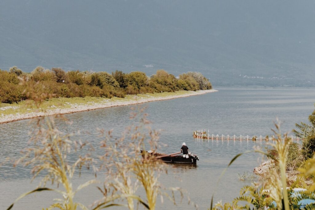 Fisherman in a small boat on Lake Skadar in Montenegro