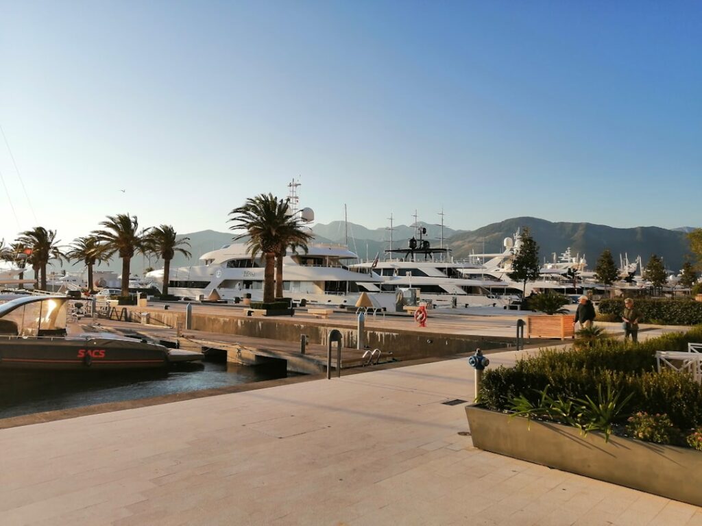 Yachts amarrés dans une marina bordée de palmiers au Monténégro