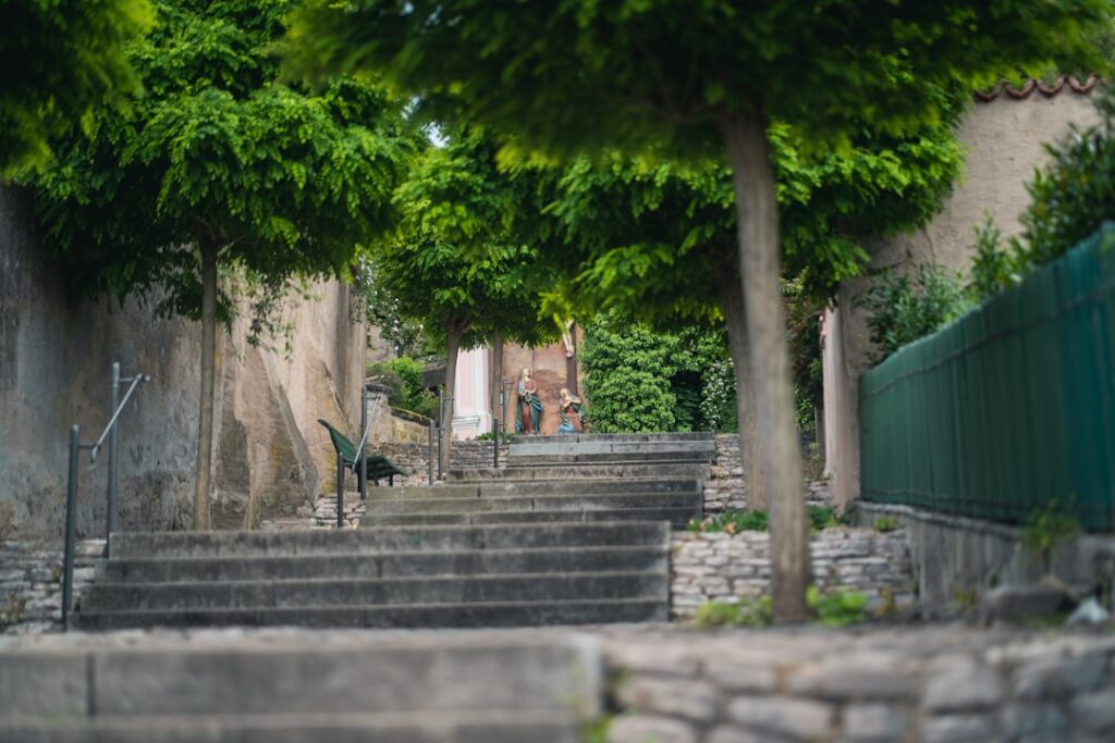 Scalinata lastricata bordata da alberi nel centro storico del Montenegro