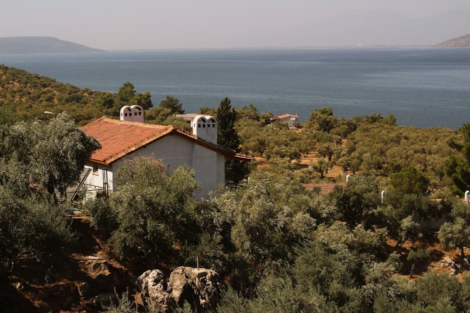 White house with red tile roof among olive groves overlooking Montenegro's Adriatic coast