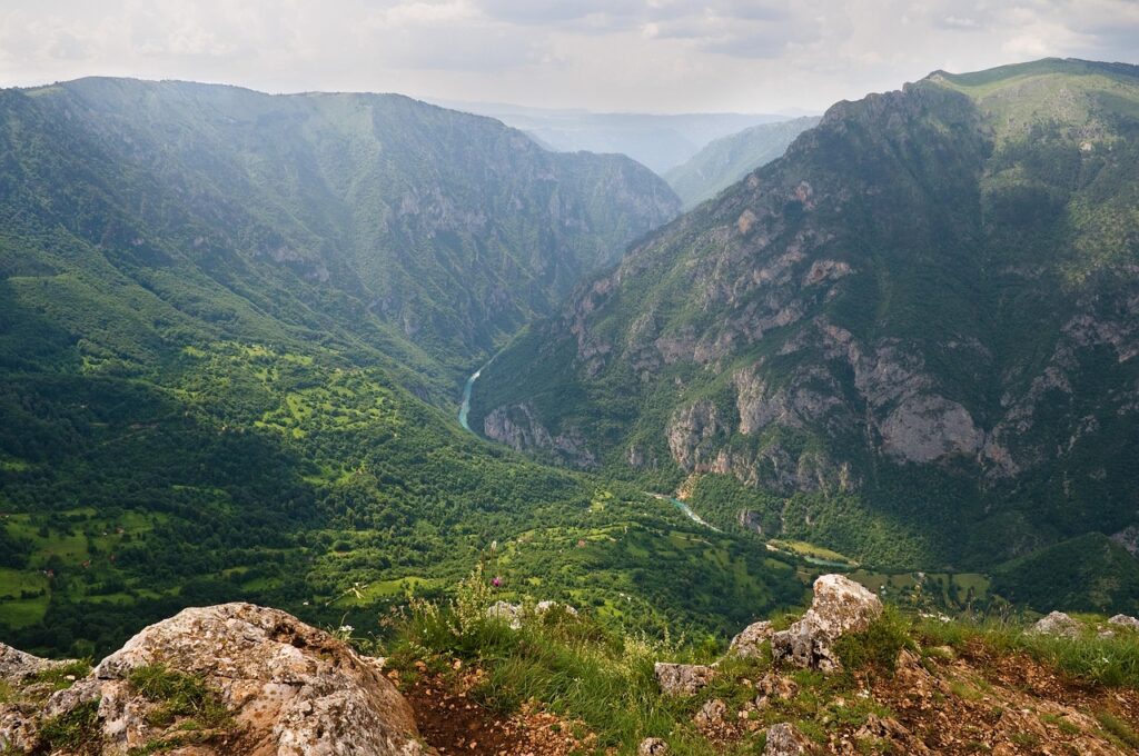 View over Tara River canyon with steep green cliffs in Montenegro