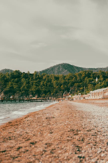 Potami Beach pine shaded pebble shore Potami Beach shaded by pine trees