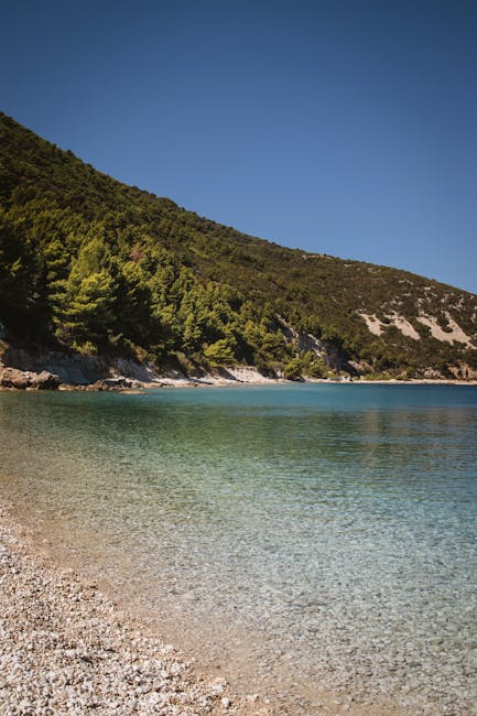 Piccola spiaggia di ciottoli sotto pini, Albania