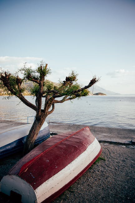 Barques retournées sur le rivage près d'un petit arbre en Albanie
