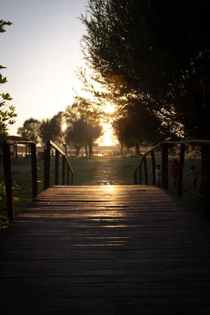 Passerelle en bois baignée de soleil, arbres et herbe en arrière-plan.