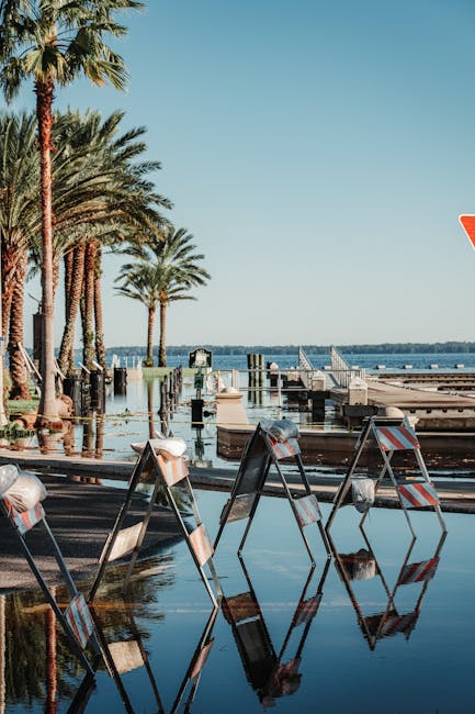 Venice high tide flooded street