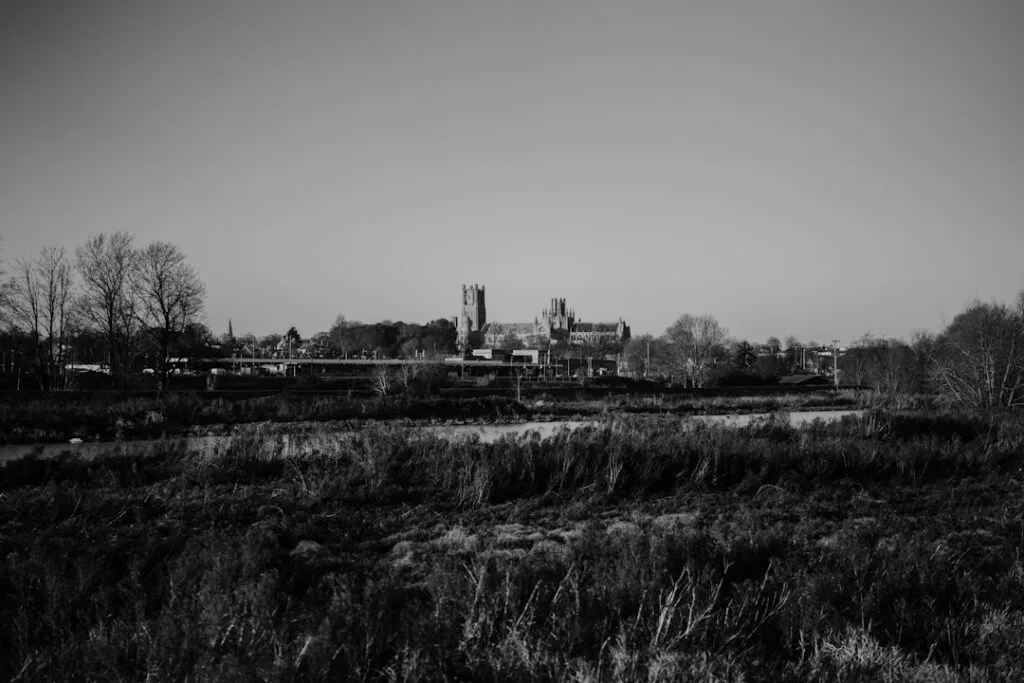 Paysage en noir et blanc, champs sauvages et cathédrale à l'horizon