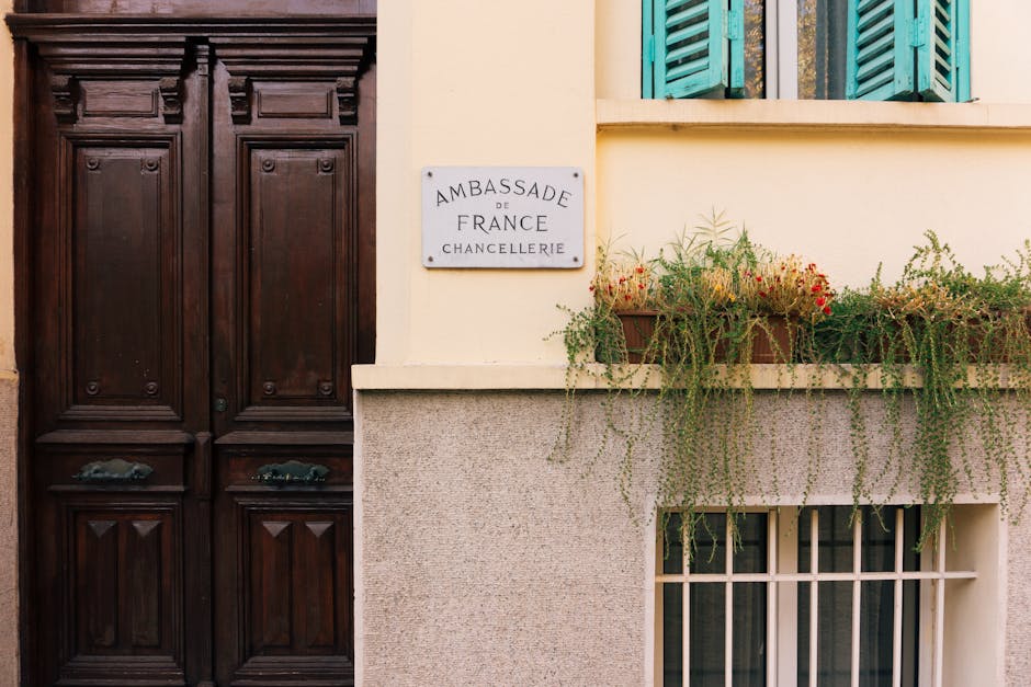 Embassy and consular services
