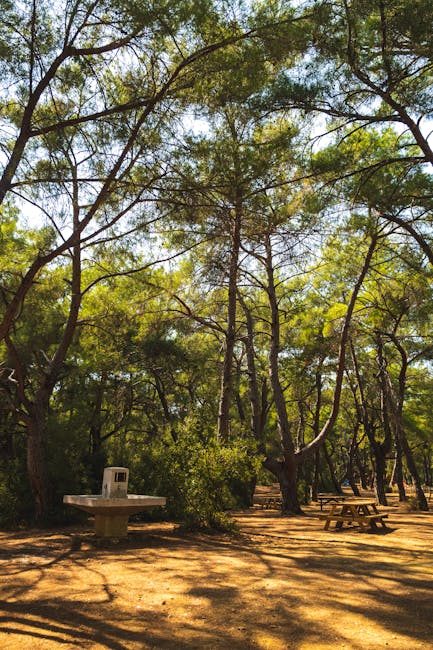 Marjan Forest Park accessible path and viewpoint