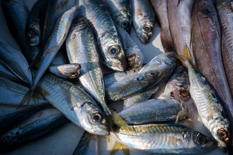 Fresh fish displayed at Split's Riva fish market