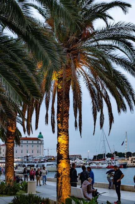 Palm trees lit along Split Riva promenade with boats and people