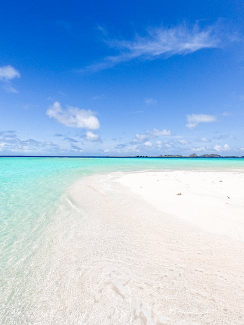 Sakarun wit zandstrand en kristalhelder water op Dugi Otok