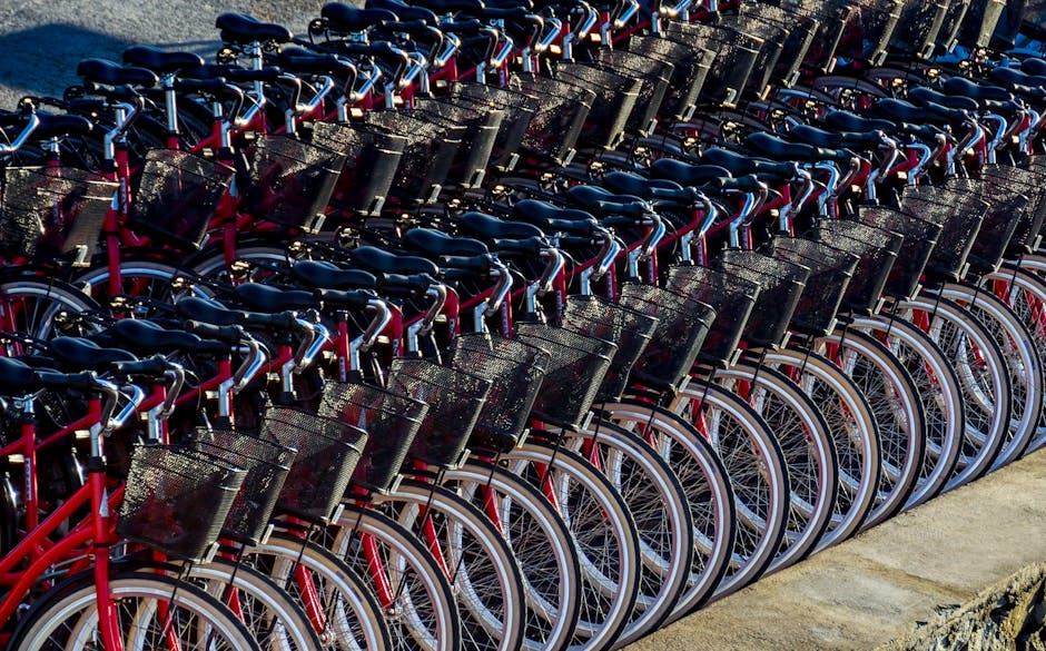 Negozio noleggio biciclette sulla passeggiata di Zara