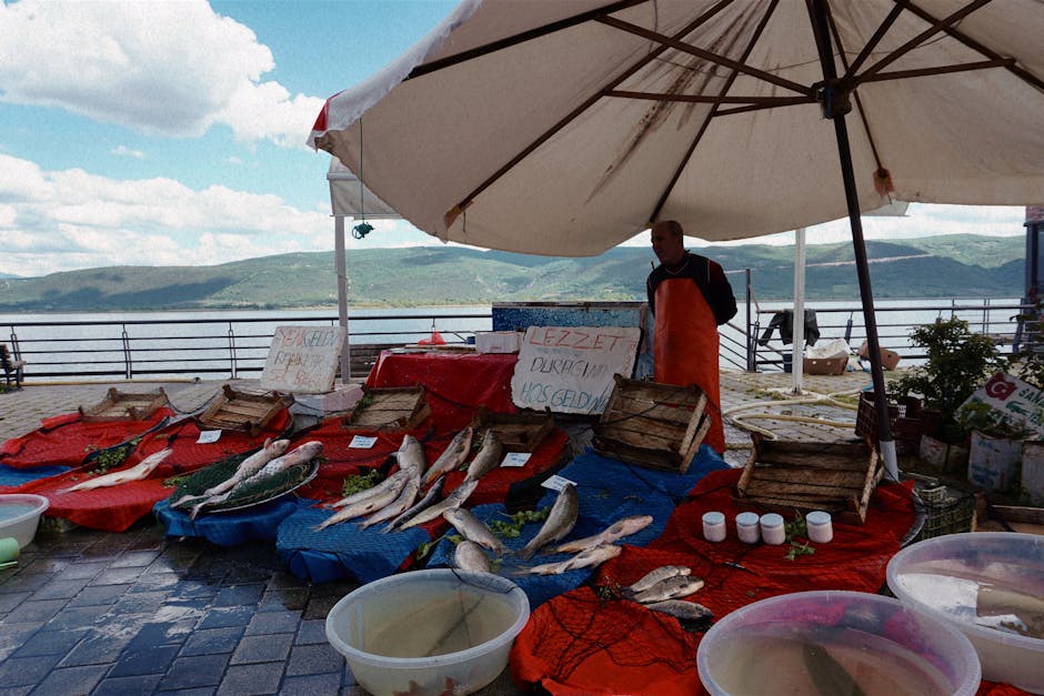 Pescatore locale che vende pesce fresco al porto di Zara