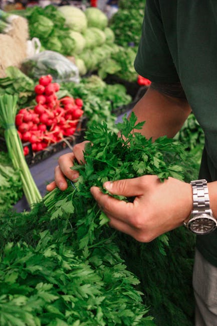 Verdure e erbe fresche al mercato cittadino di Zadar