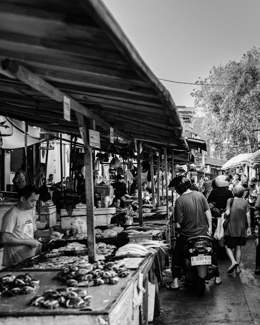 Rybny targ w Zadarze rano — stragany i sprzedawcy
