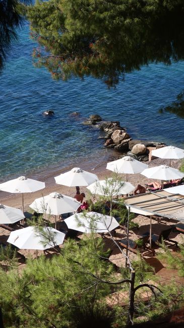 Lungomare e ombrelloni alla spiaggia di Borik vicino a Zara fra pini