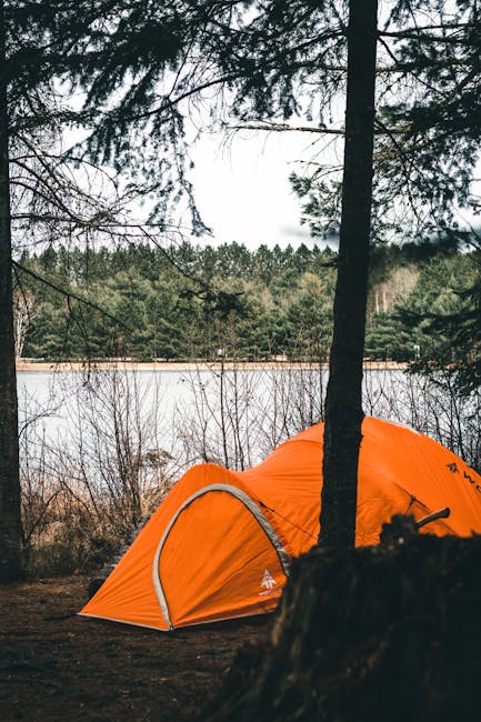 Tent pitched under pine trees near a river