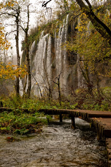 Boardwalk at Plitvice Lakes in morning mist