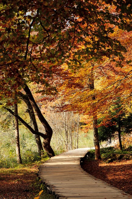 Houten vlonder bij Plitvice in herfstkleuren