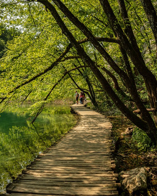 Guided tour group walking the wooden path at Plitvice