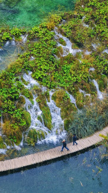 Visitatore che acquista il biglietto del Parco Nazionale di Plitvice al chiosco informazioni