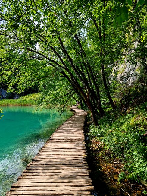 passerella di legno sui laghi turchesi di Plitvice