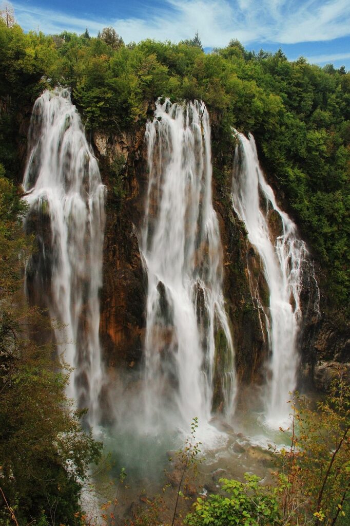 barca a remi sul lago Kozjak con sfondo di foresta