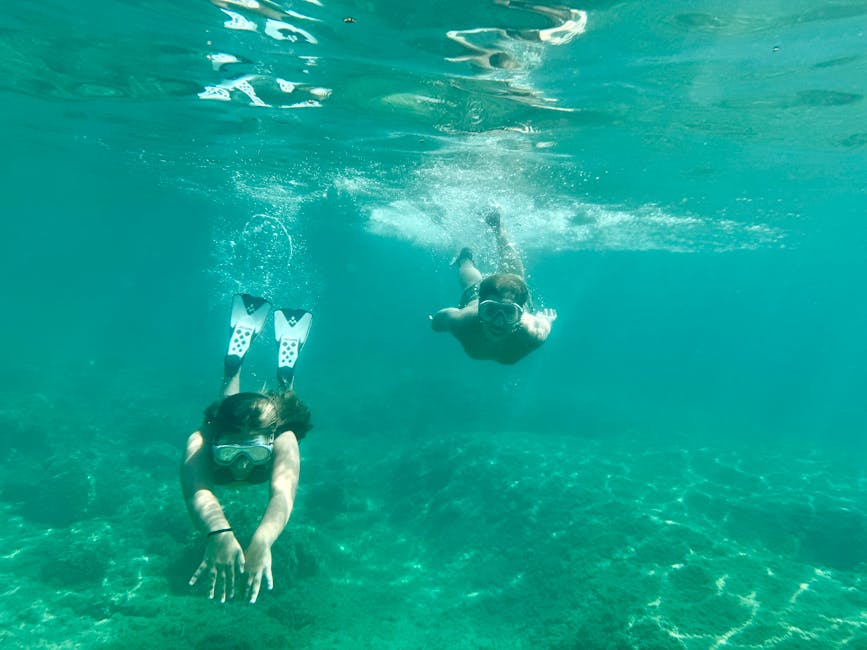 Children snorkeling in shallow water at Palmižana, Pakleni Islands