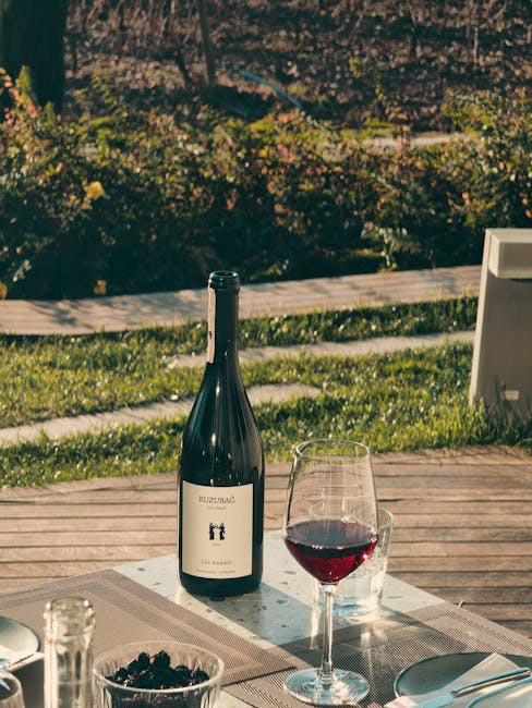 Local winery tasting table in a Stari Grad vineyard
