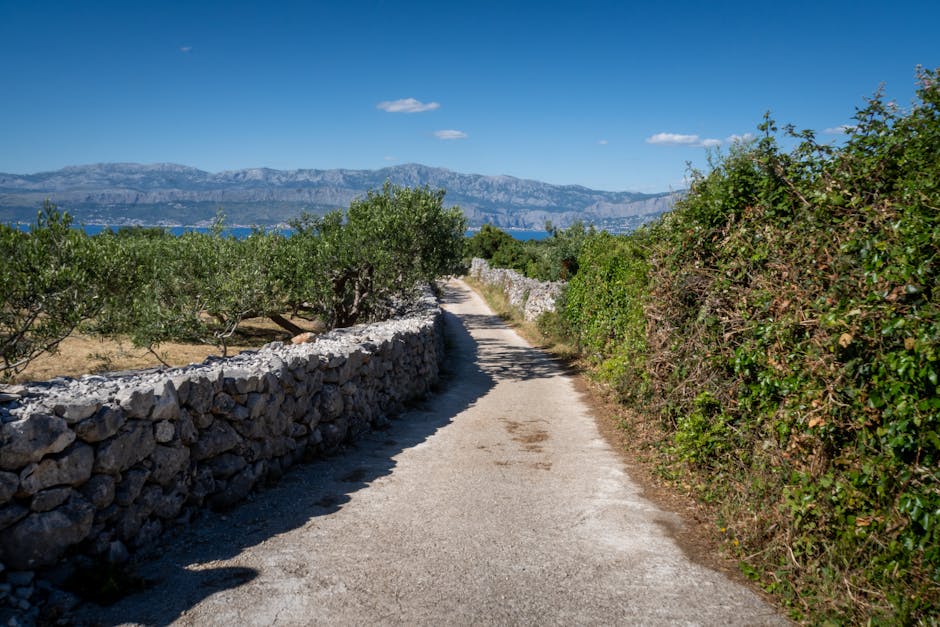Stone village of Velo Grablje with olive groves and valley views