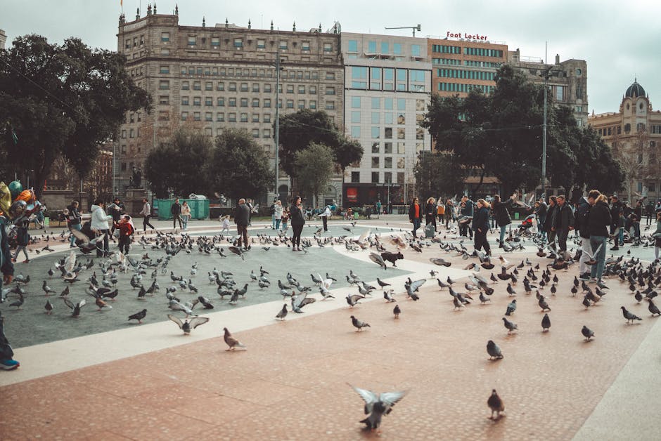 Plaça de Catalunya busy square at midday