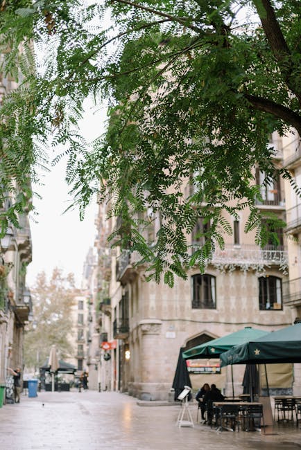 Neighborhood street in Barcelona with café terraces