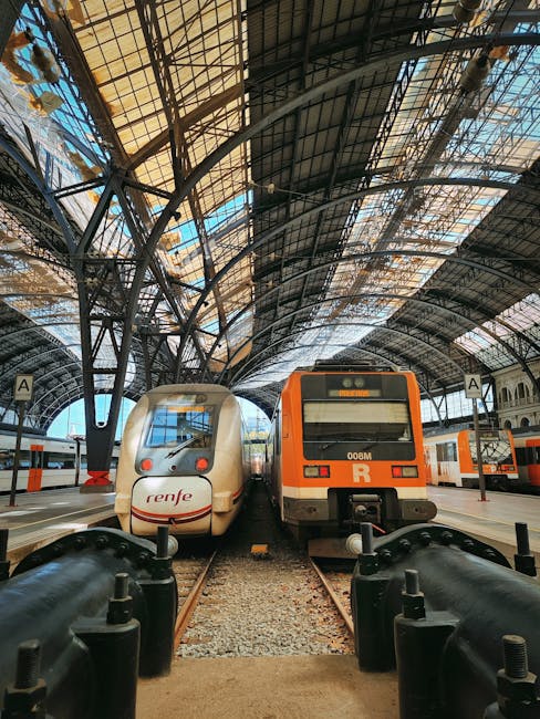 Treno Rodalies con biciclette in salita a Sants Estació