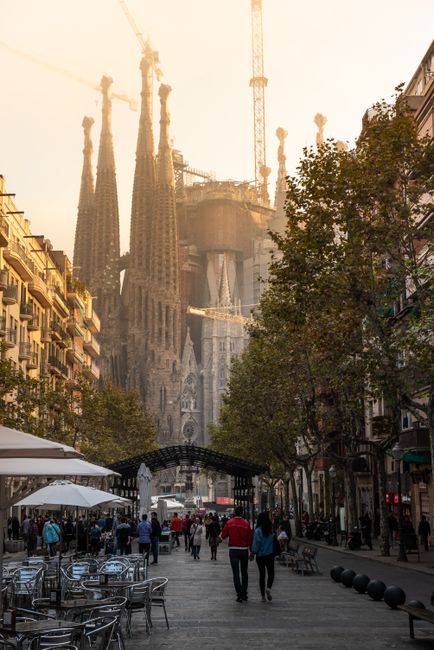Avinguda Gaudí met bomen, cafés en zicht op de Sagrada Família