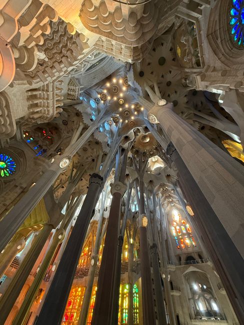 Interieurkolommen van de Sagrada Família, een bosachtige, gewelfde plafondstructuur