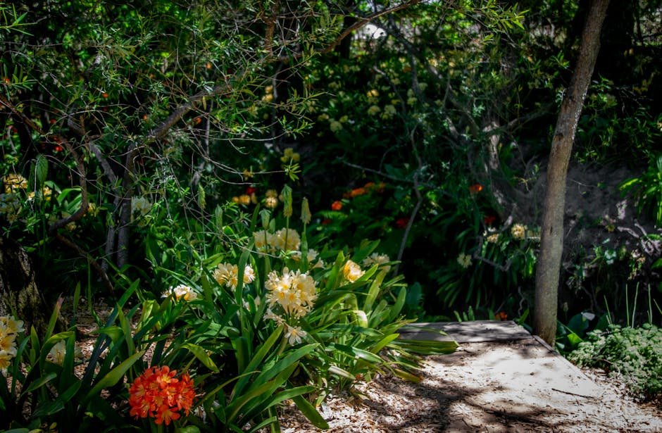 Sentiero ombreggiato nei giardini dell'Alcázar con fiori d'arancio