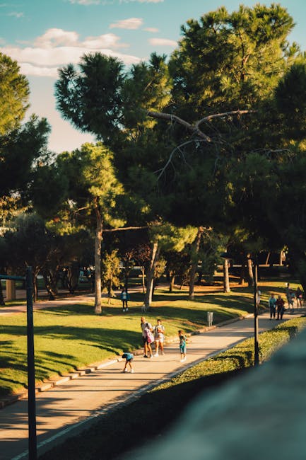 Lungo viale del Jardí del Túria tra inverno e primavera