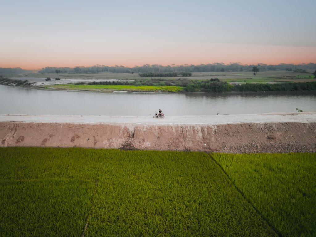 Barca sull'Albufera al tramonto tra le risaie